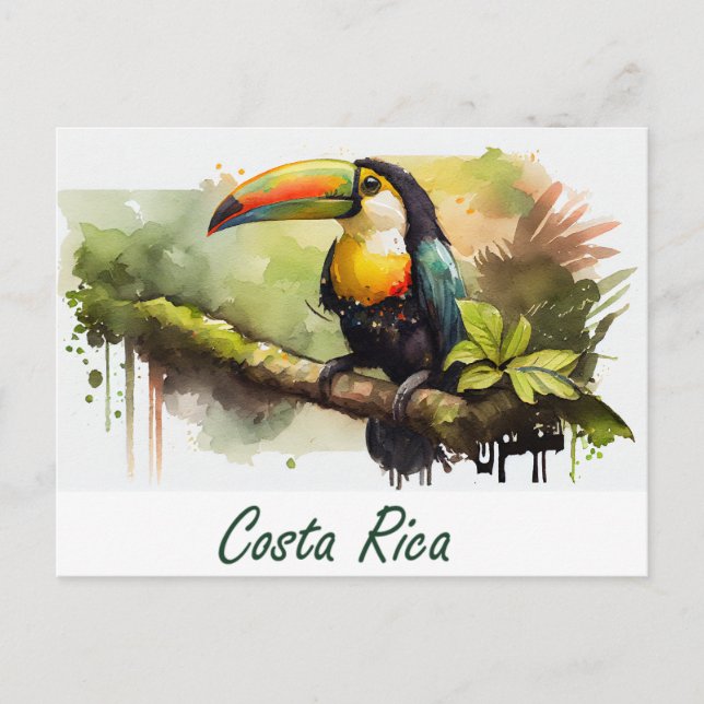 Costa Rica Toucan Postcard (Front)