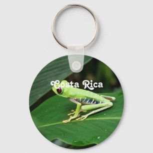 Costa Rica Tree Frog Keychain