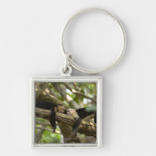 Costa Rica, Two monkeys resting on tree, lying Keychain