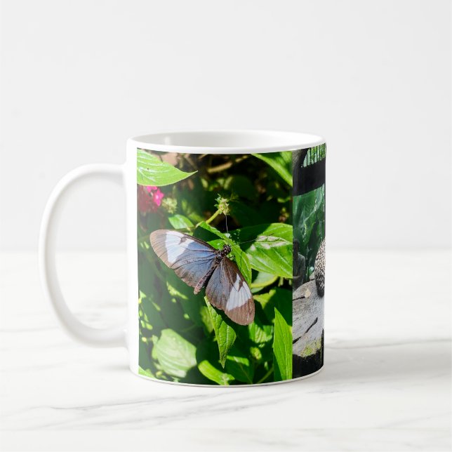 Costa Rica Wildlife Waterfall Mug (Left)