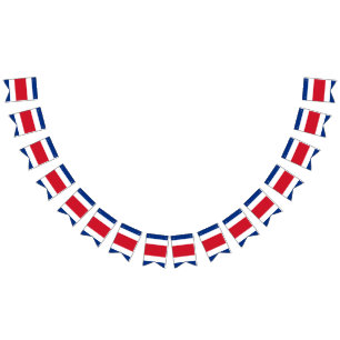 Costa Rican Flag
