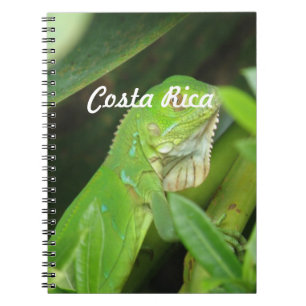 Costa Rican Lizard Notebook