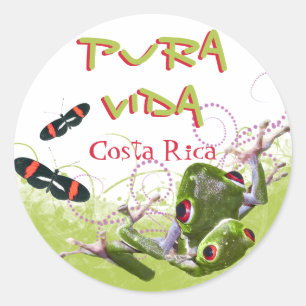 Costa Rican Pura Vida Tree Frog Stickers