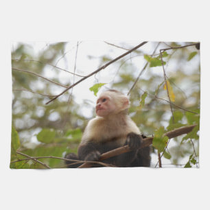 Costa Rican Wildlife: White Faced Capuchin Monkey Kitchen Towel