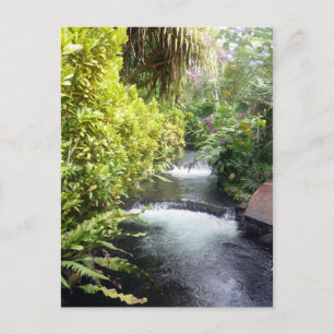 costa waters postcard