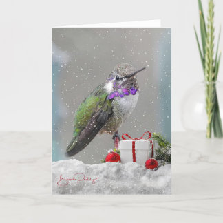 Costa's Hummingbird & Holiday Wishes! Blank Card