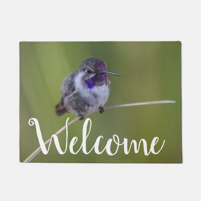 Costa's  Hummingbird in August light Doormat (Front)