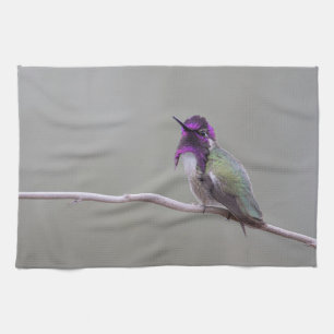 Costa's hummingbird kitchen towel