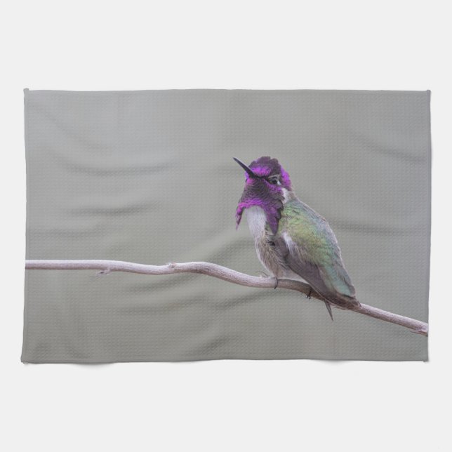 Costa's hummingbird kitchen towel (Horizontal)