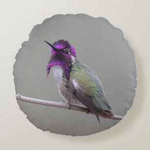 Costa's hummingbird round pillow