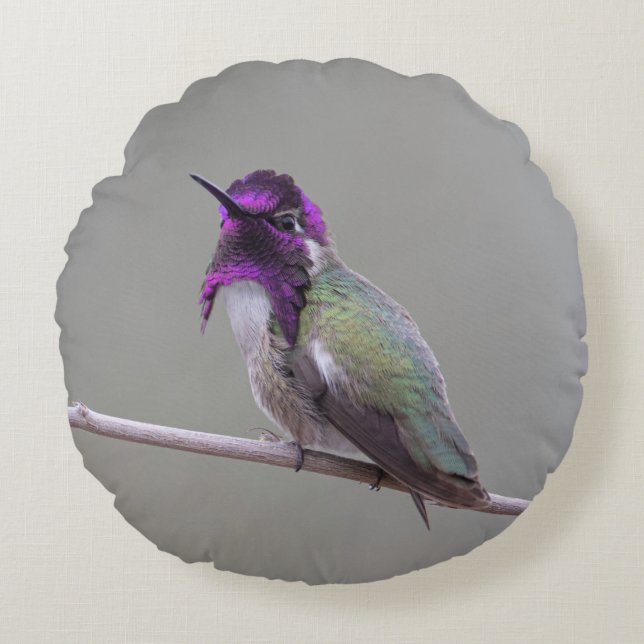 Costa's hummingbird round pillow (Front)