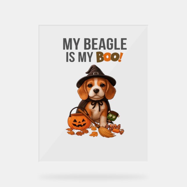 Costume d'Halloween beagle Mon Beagle est Mon Chie (Recto)