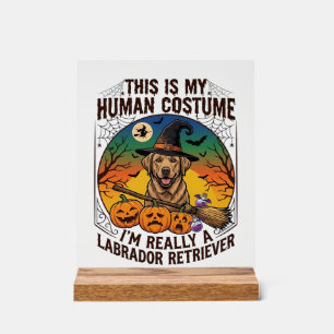 Costume Humain Labrador Retriever Sorcière d'Hallo