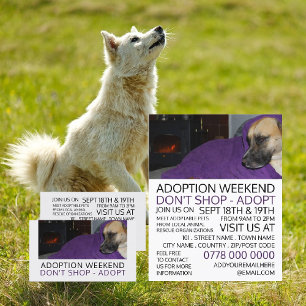 Cosy Dog, Pet Adoption Event Advertising Business Card