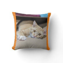 "Cosy Orange Tabby Coussin - Feline Chaleureuse Ch