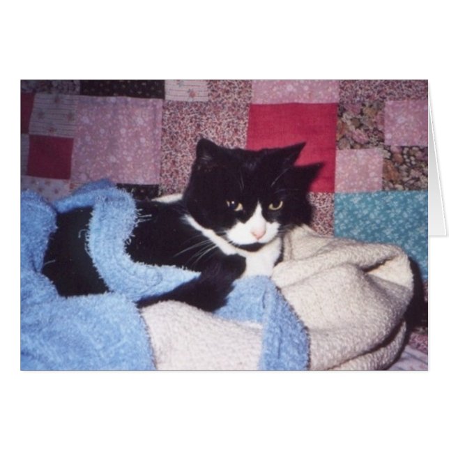 "Cosy Tiki" (Devant horizontal)