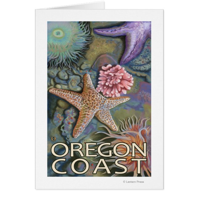 Côte de l'Oregon Tidepool (Devant)