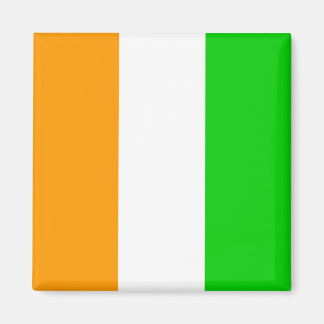 Cote Divoire High quality Flag Magnet