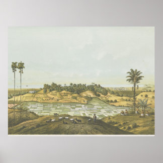 Côte nord près de Semarang Affiche