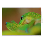 Côté sauvage Léger Romantique Amusant