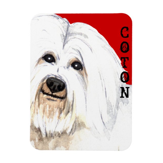 Coton Colour Block Magnet (Vertical)