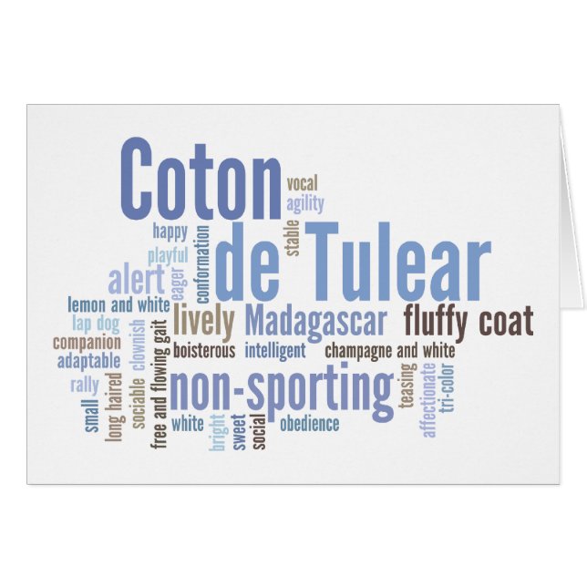 Coton de Tulear (Front Horizontal)