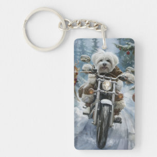 Coton De Tulear Chien équitation Moto Noël