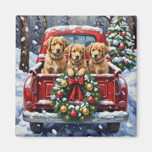 Coton de Tulear Christmas Red Truck Holiday Magnet