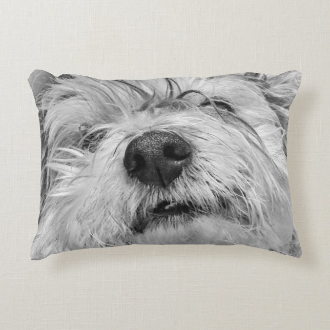 Coton de Tulear dog Accent Pillow (Front)