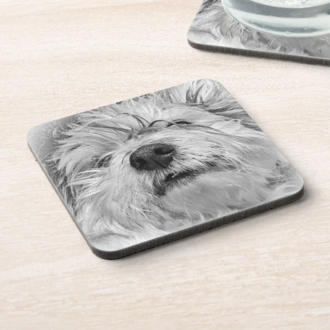 Coton de Tulear dog Coaster (Left Side)