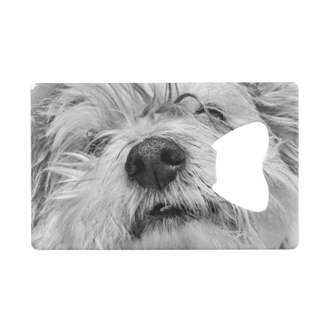 Coton de Tulear dog Credit Card Bottle Opener (Front (Horizontal))