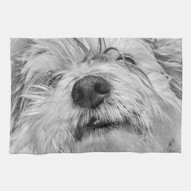 Coton de Tulear dog Kitchen Towel (Horizontal)