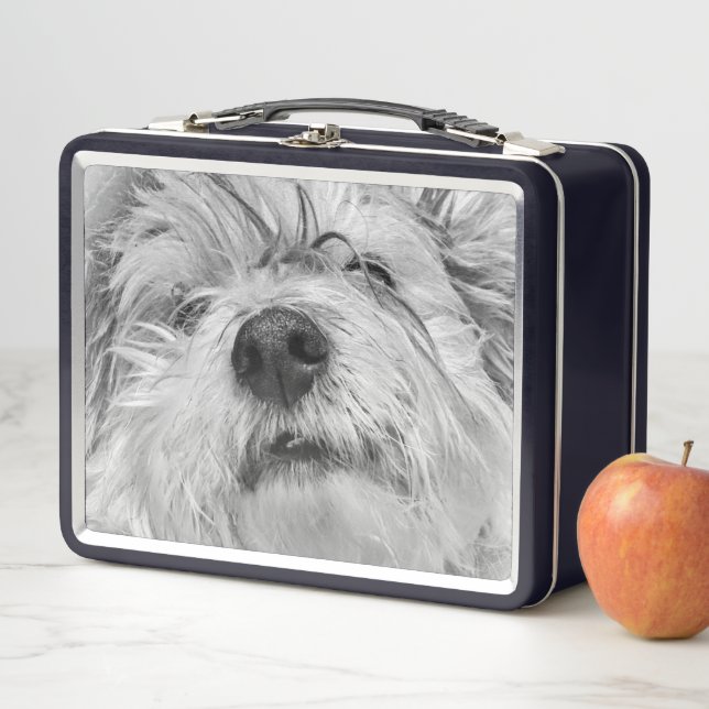 Coton de Tulear dog Metal Lunch Box (In Situ)