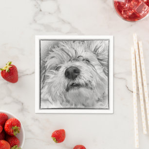 Coton de Tulear dog Napkin