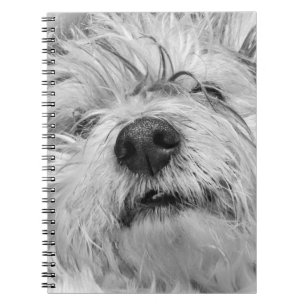 Coton de Tulear dog Notebook