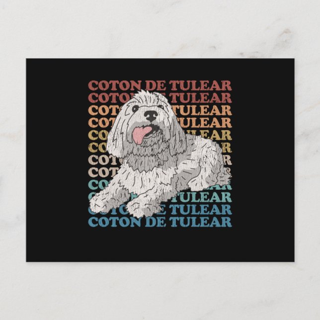 Coton de Tulear | Dog Owner Coton de Tulears Postcard (Front)