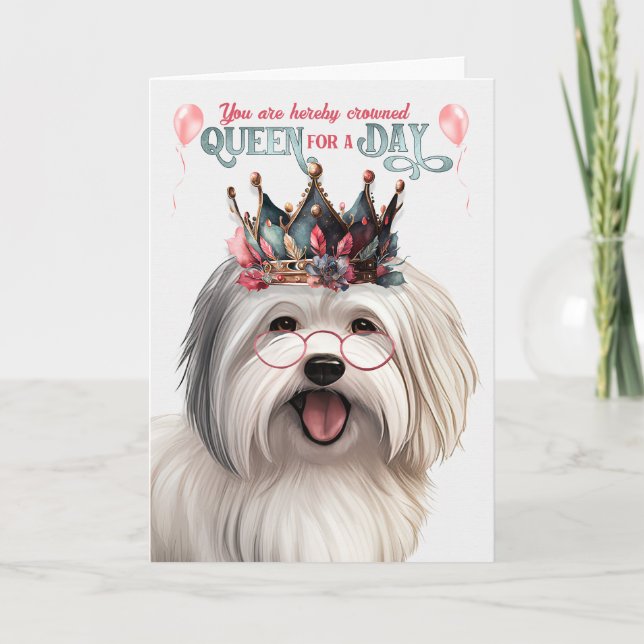Coton de Tulear Dog Queen for a Day Funny Birthday Card (Front)