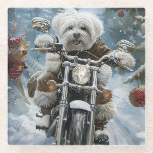 Coton De Tulear Dog Riding Motorcycle Christmas  Glass Coaster