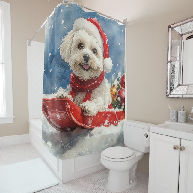 Coton De Tulear in Sledge Let it Snow Christmas (In Situ)