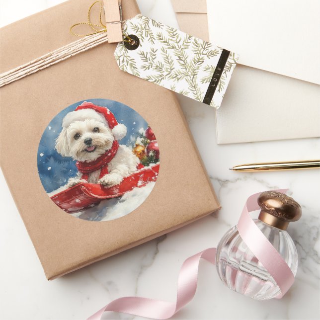 Coton De Tulear in Sledge Let it Snow Christmas Classic Round Sticker (Gifting)