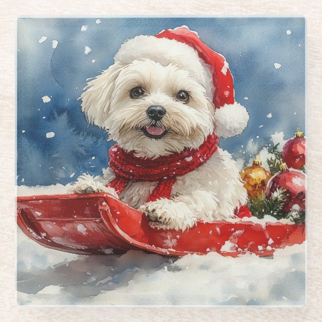 Coton De Tulear in Sledge Let it Snow Christmas Glass Coaster (Front)