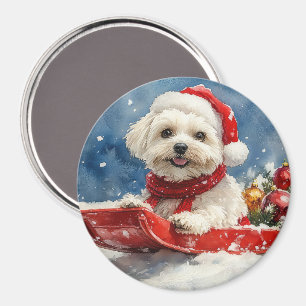 Coton De Tulear in Sledge Let it Snow Christmas Magnet