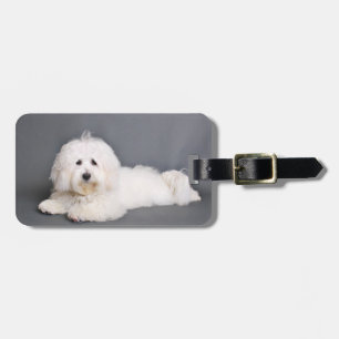 Coton de Tulear - Joci Luggage Tag