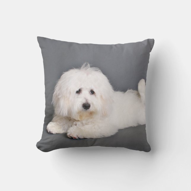 Coton de Tulear - Joci Throw Pillow (Front)