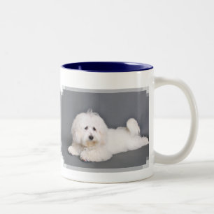 Coton de Tulear - Joci Two-Tone Coffee Mug