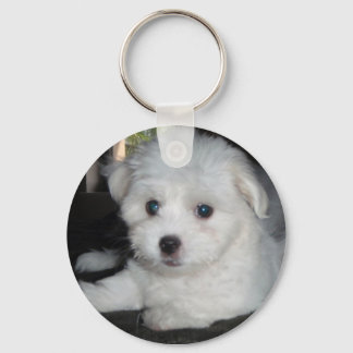 Coton De Tulear Keychain
