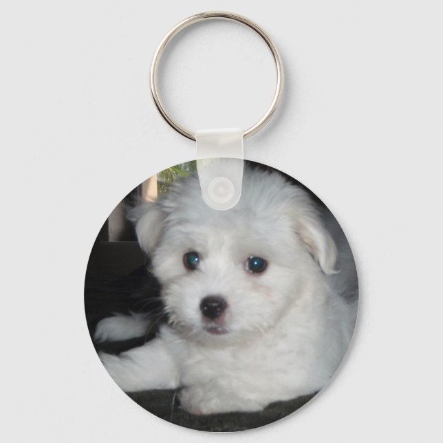 Coton De Tulear Keychain (Front)