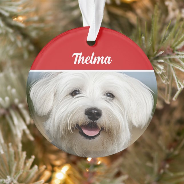 Coton de Tulear Name Photo Holiday Christmas Ornament (Tree)