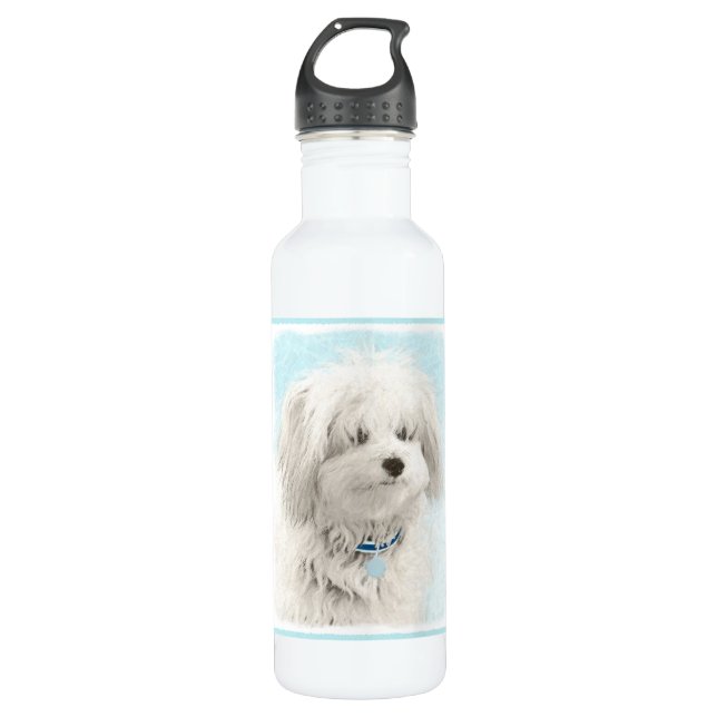 Coton de Tulear Painting - Cute Original Dog Art 710 Ml Water Bottle (Front)