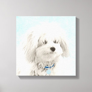 Coton de Tulear Painting - Cute Original Dog Art Canvas Print